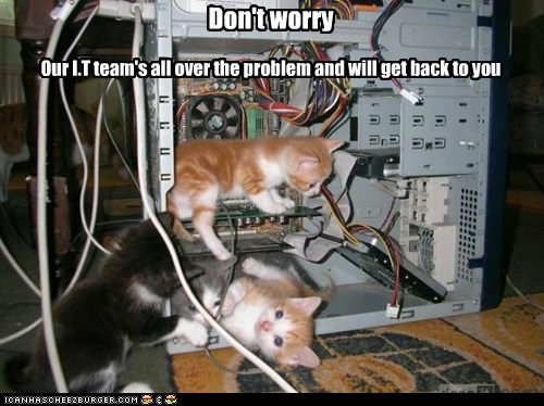 funny-cat-pictures-lolcats-dont-worry.jpg?w=655